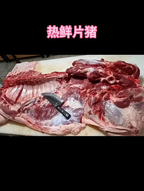 片片猪 片片猪