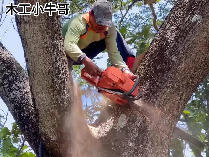 点击伐木工