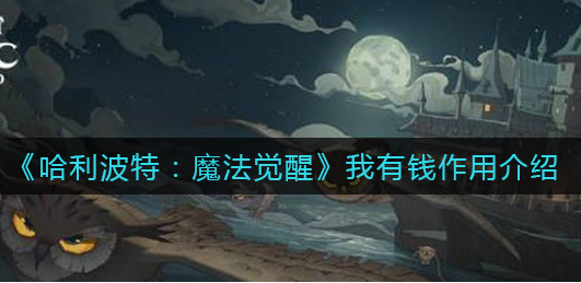 哈利波特魔法觉醒我有钱是什么
