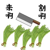 快来割韭菜