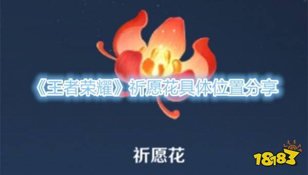 王者荣耀祈愿花怎么用