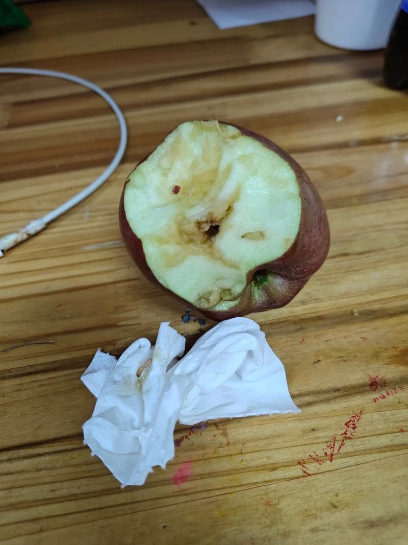 贪吃的苹果虫 贪吃的苹果虫
