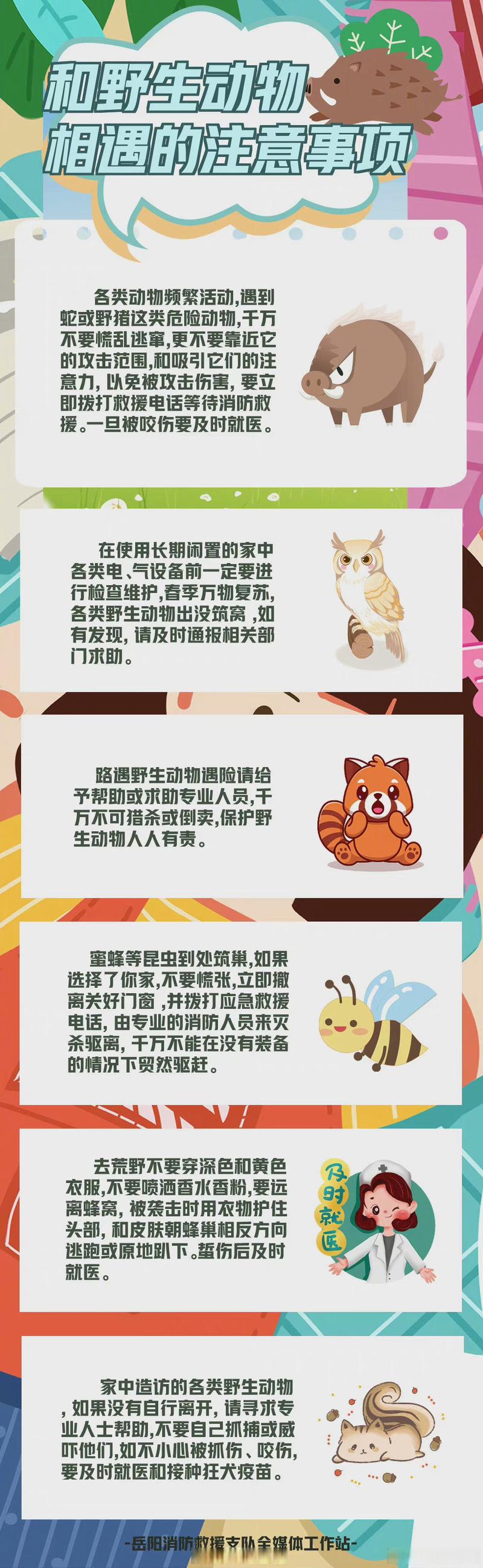 野生动物事项