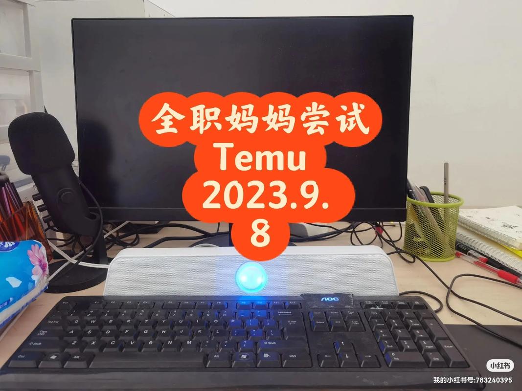 temu上架后多久出单?