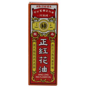 永龙传说