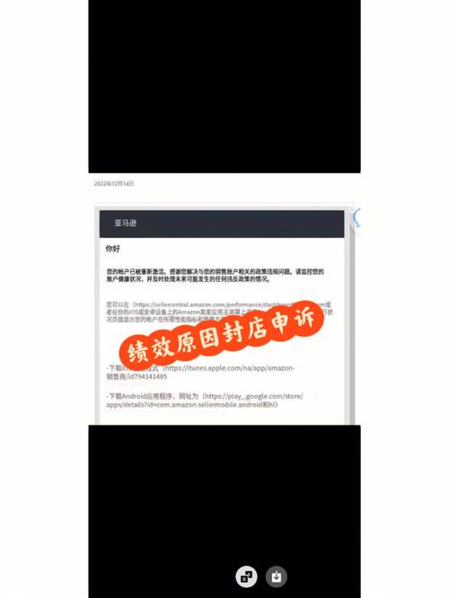 亚马逊如何查看申诉记录?