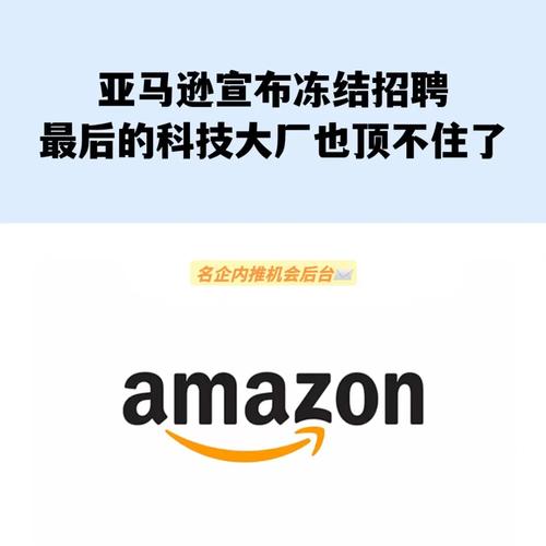 亚马逊迟发率有补救的机会吗?