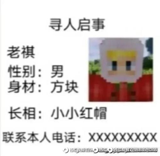 我的世界老祺