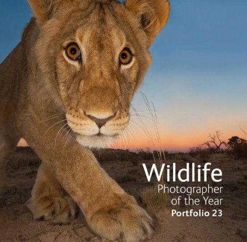 WildlifeMatters