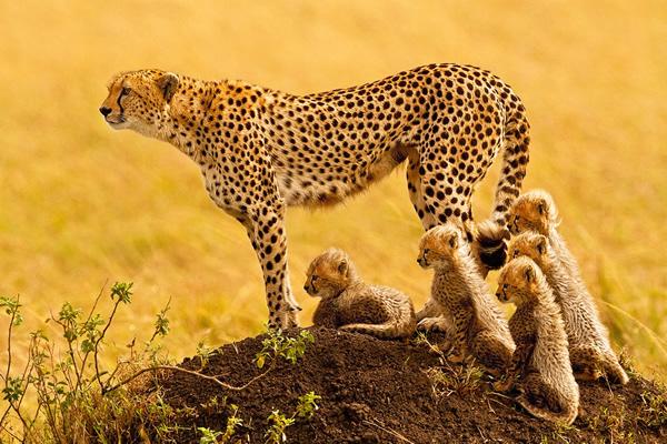 WildlifeMatters WildlifeMatters