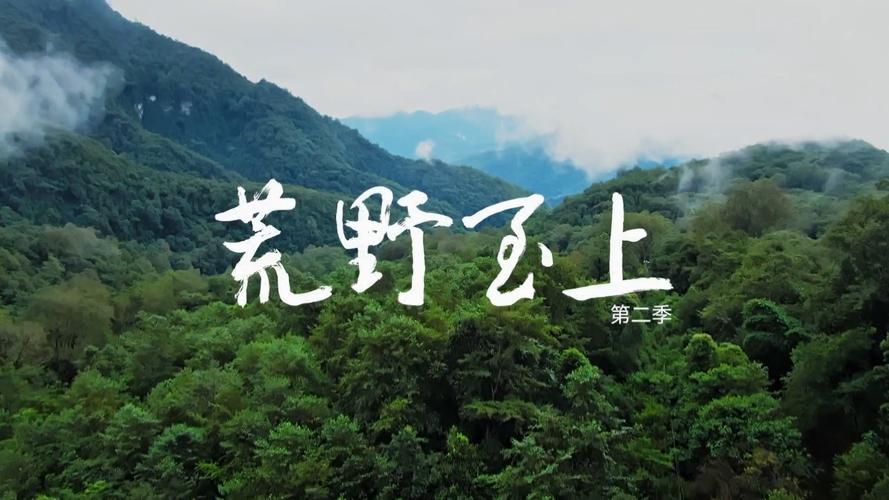 荒野之上
