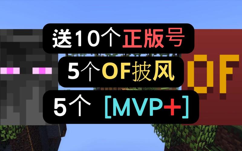 我的世界有披风的id