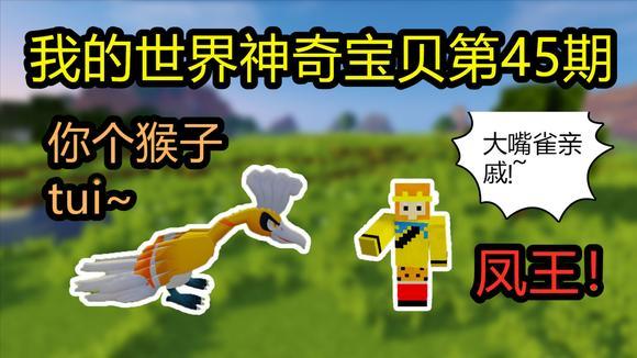 我的世界神奇宝贝凤王