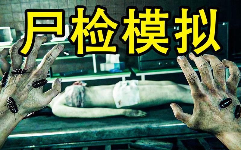 法医模拟器 法医模拟器