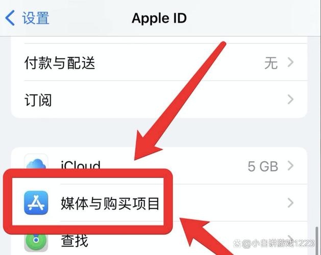 苹果支付怎么设置