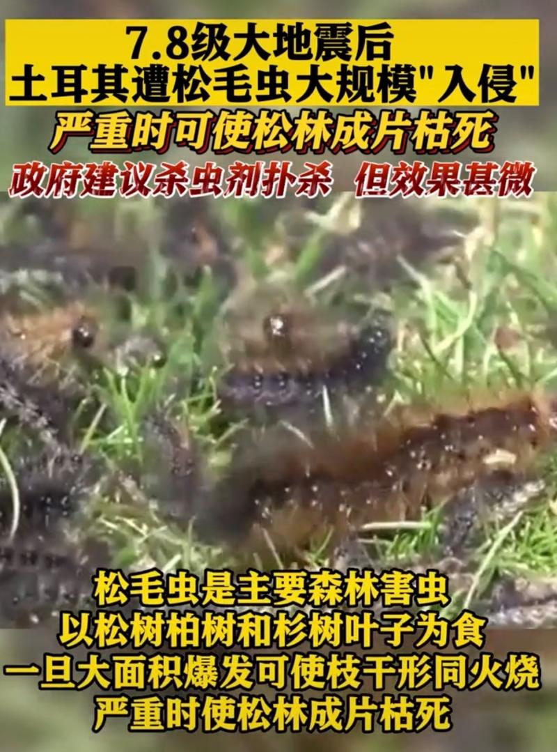 大规模入侵