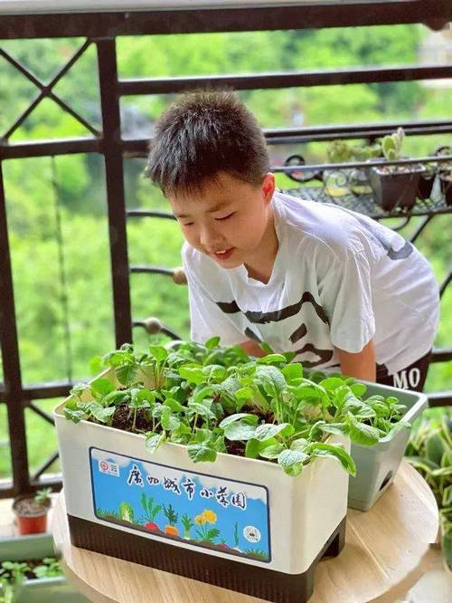 种植大挑战 种植大挑战