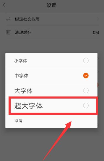 设置大字体