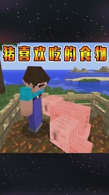我的世界里猪吃什么