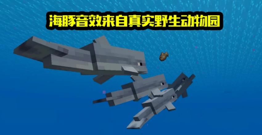 我的世界海豚怎么骑
