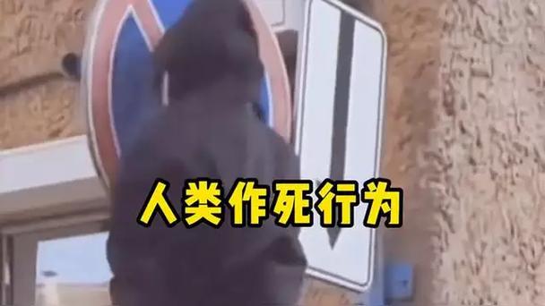 花式作死大全 花式作死大全