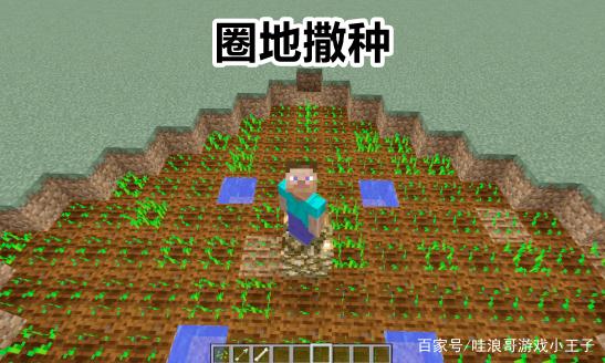 我的世界怎样种小麦