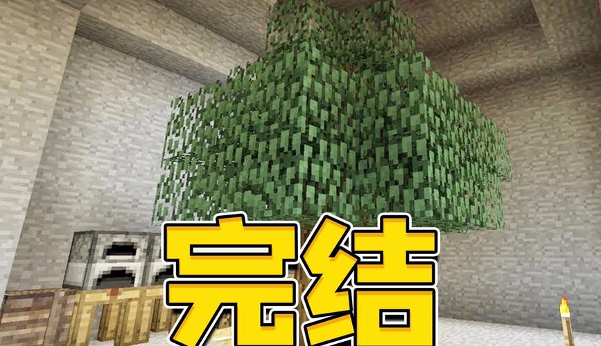 我的世界刷钱