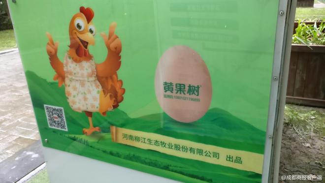 救救鸡蛋