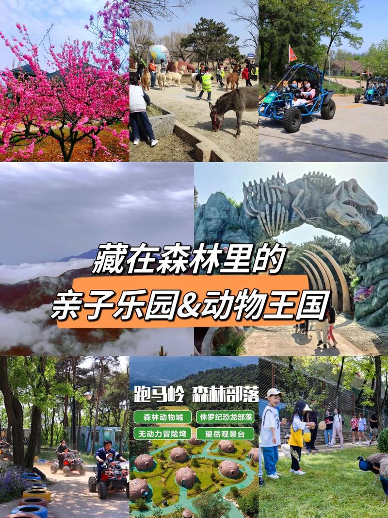 森林动物城
