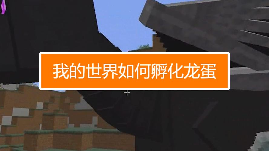 我的世界如何孵龙蛋
