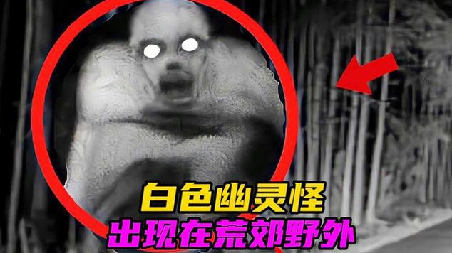 可怕的怪物 可怕的怪物