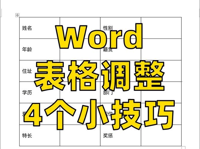 怎么设置表格大小