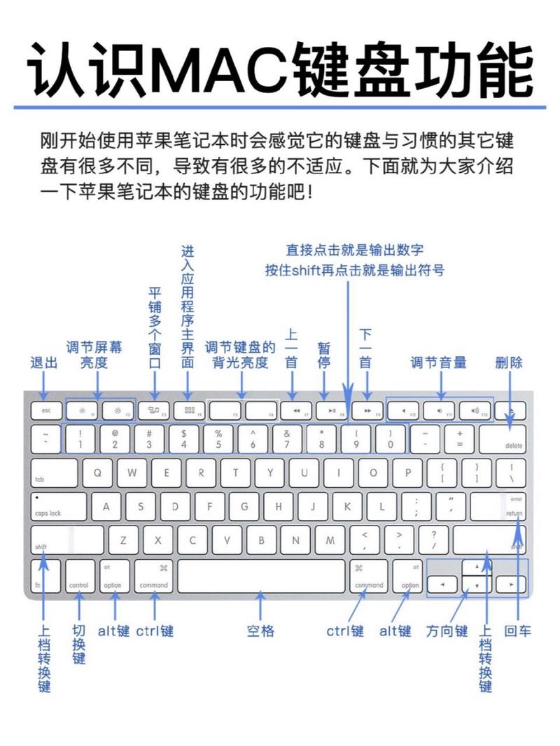 苹果怎么设置键盘
