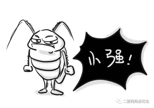 暴打小强