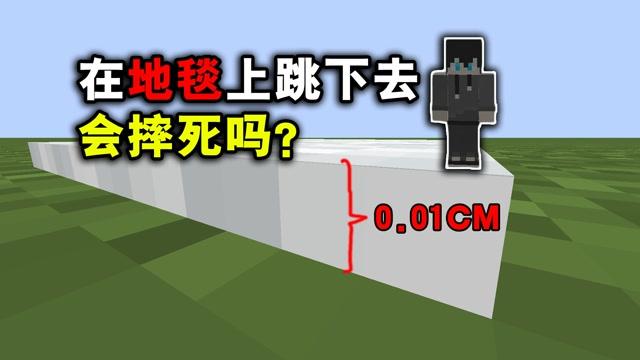 我的世界摔死
