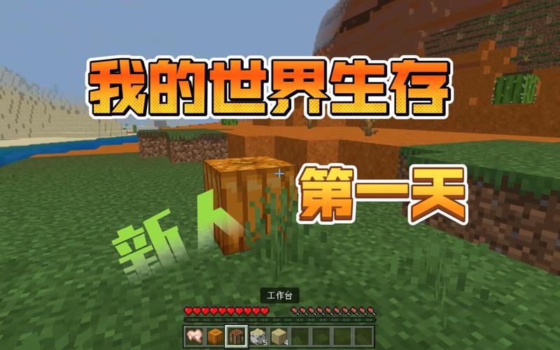 我的世界一天