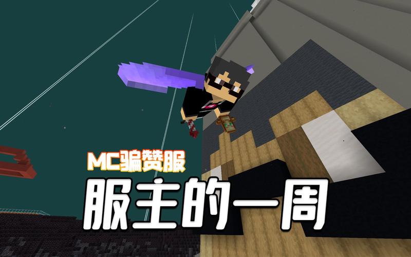 我的世界服主