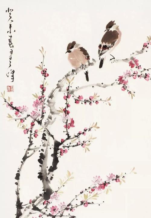 小鸟分类大师