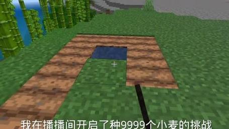 我的世界如何种小麦