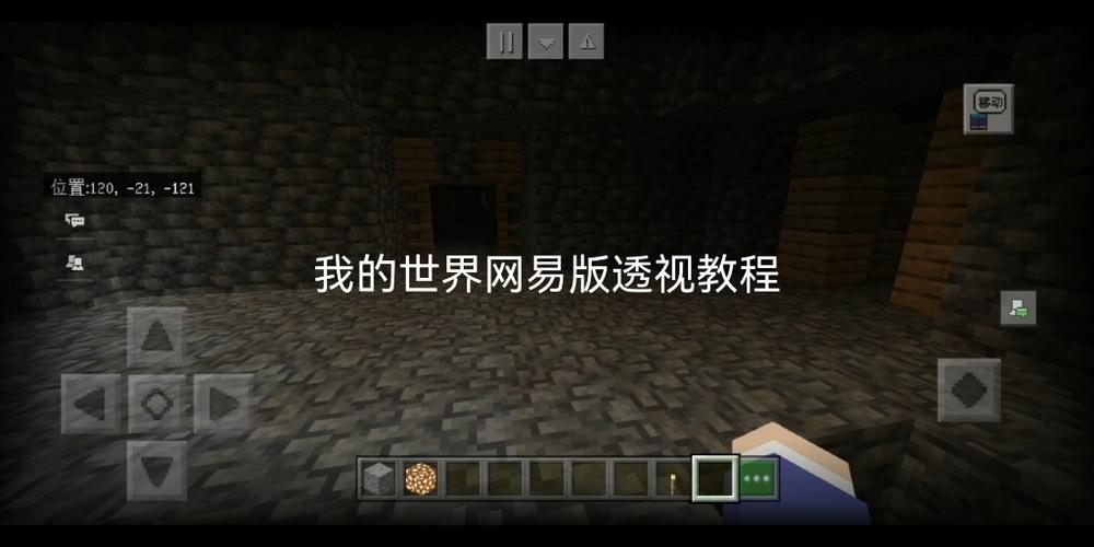 我的世界怎么开透视