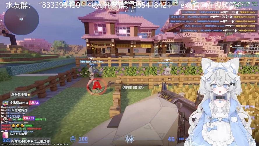 CS我的世界