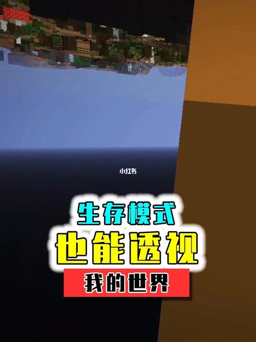 我的世界怎么开透视