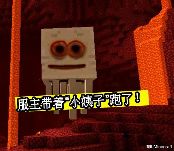 我的世界服主