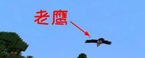 我的世界鹰
