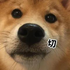 怒狗切切