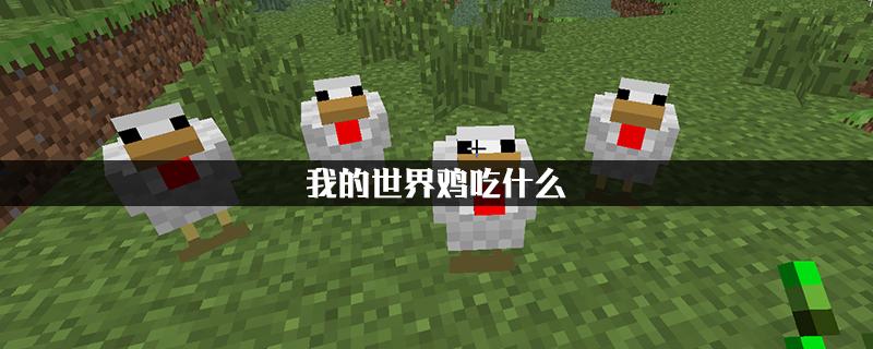 我的世界鸡吃