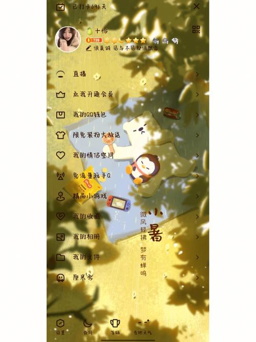 qq皮肤设置