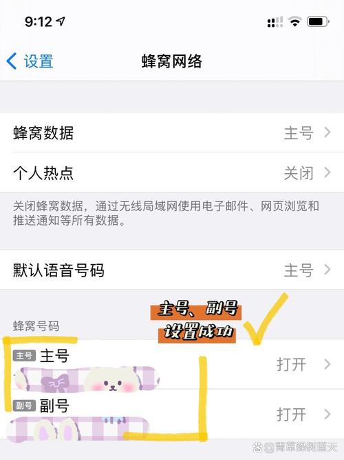 苹果 双卡设置