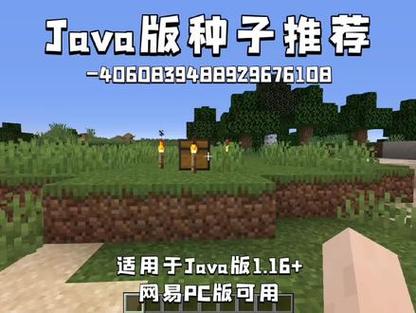 我的世界出生村庄种子