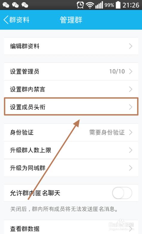 群头衔设置